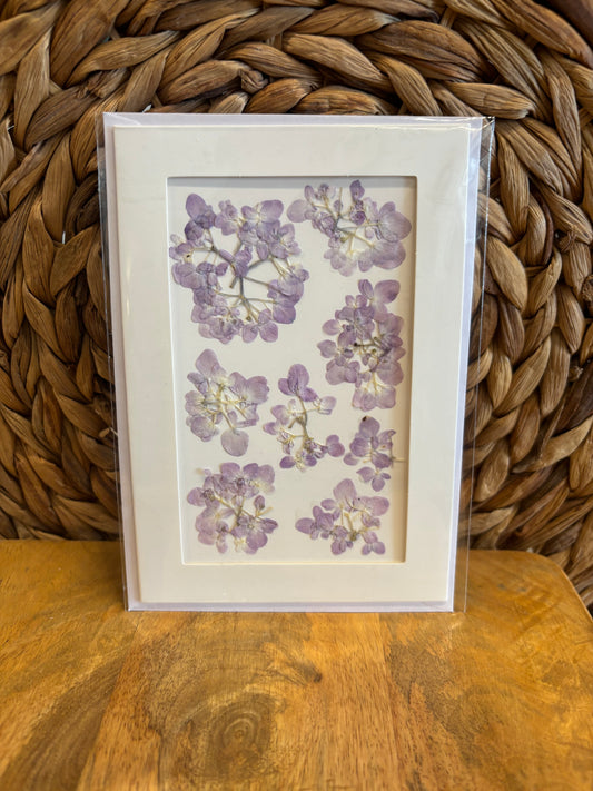 Pressed Flower Greeting Cards