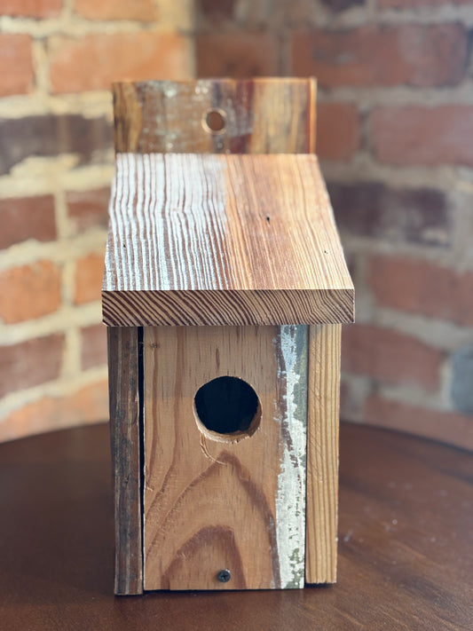 Blue Bird House